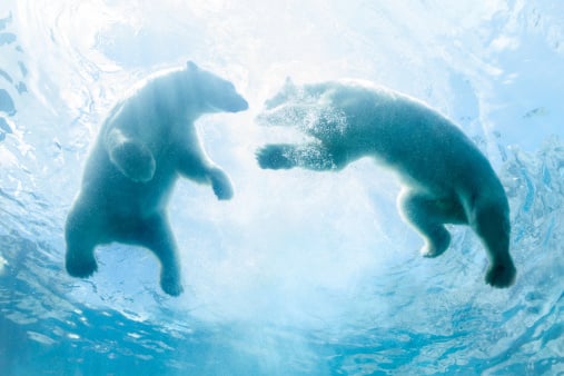 How to evaluate and categorise business performance (part 2)