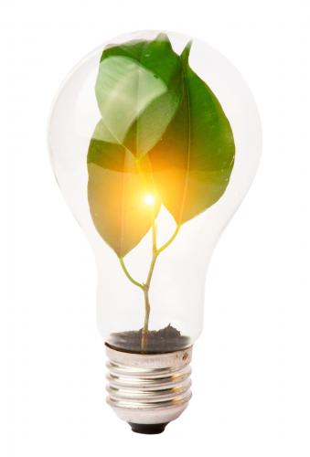 Sustainability Reporting: What It Means For Finance