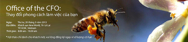 quản lý doanh nghiệp quản trị rủi ro