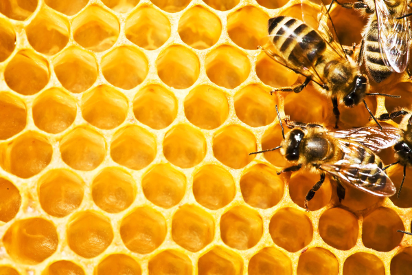 Governance, Risk and Compliance framework: Context and definition
