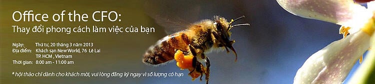 hội thảo Office of the CFO