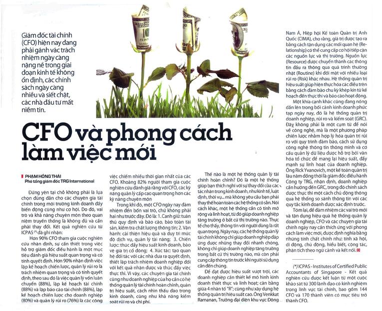 trg cfo finance professionals