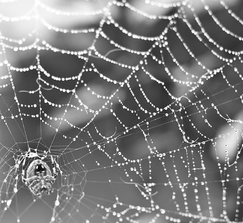 From good to great: 5 ways to improve your BI solutions (part 1)