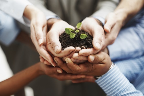 Financial leadership: Financial management essentials