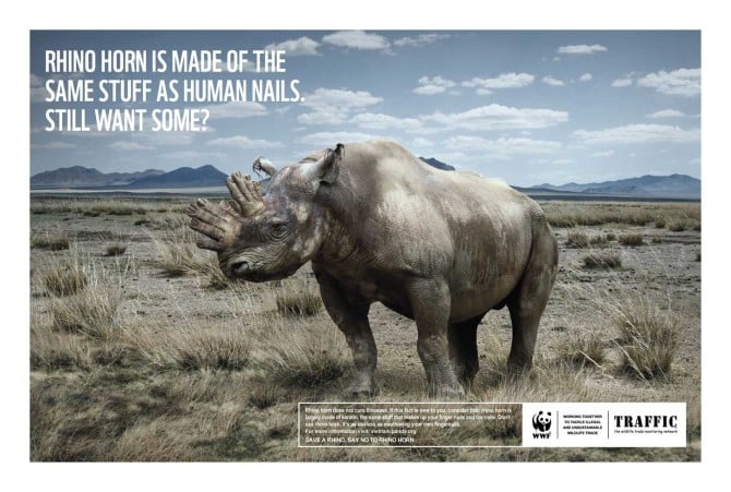TRG supports WWF & TRAFFIC’s protect rhino campaign