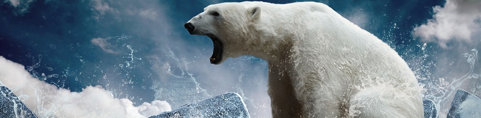bigstock-White-Polar-Bear-Hunter-on-the-45957604