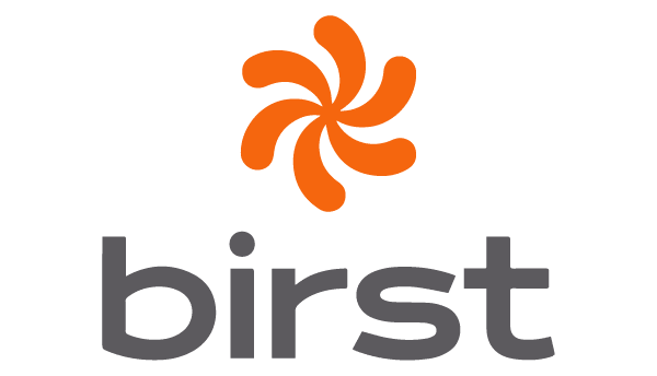 Birst’s Cloud BI system: A Build.com case study