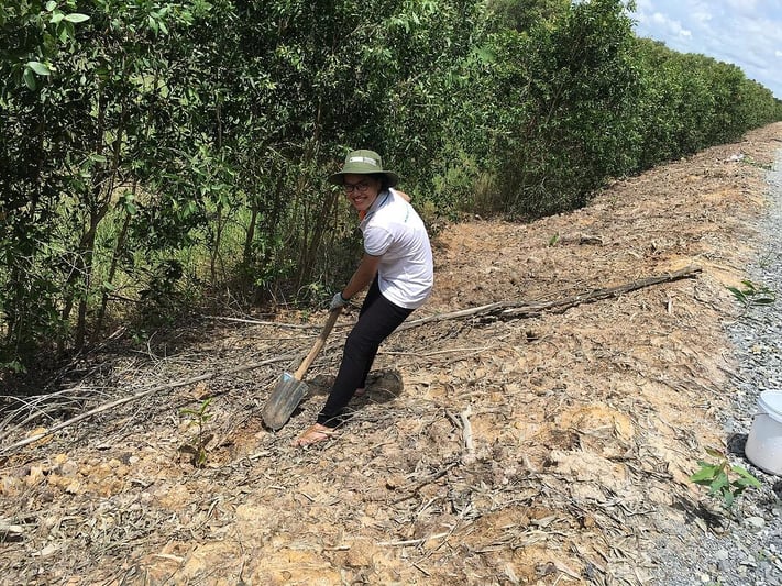 TRG's CSR activities - Tree planting