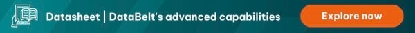 Download Datasheet | DataBelt's advanced capabilities