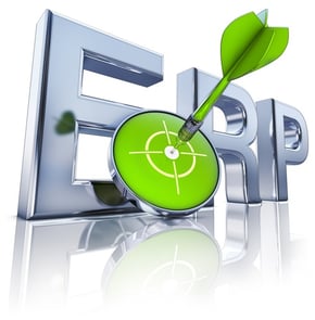 ERP-Implementation