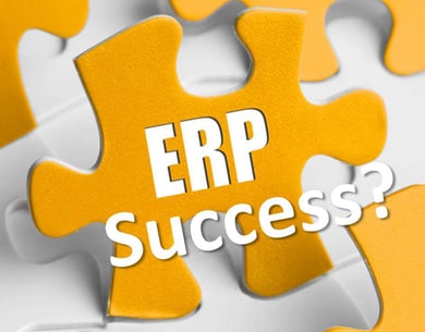 ERP-Success-how-to