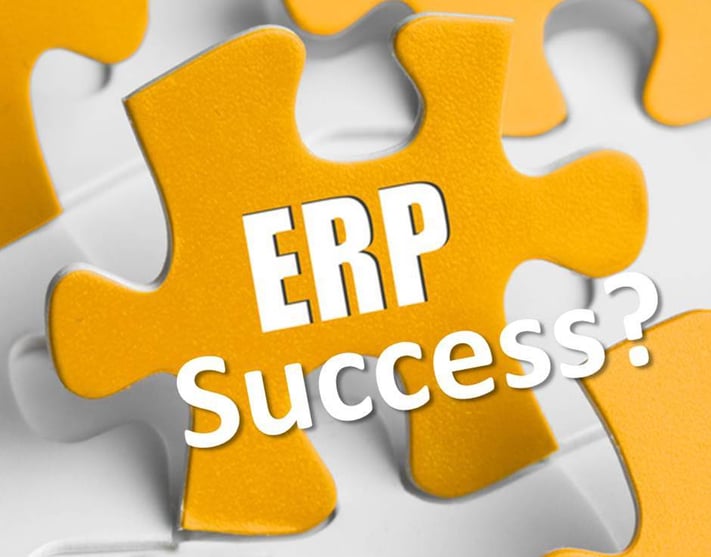 Increasing Speed to Add More Values in ERP Implementation