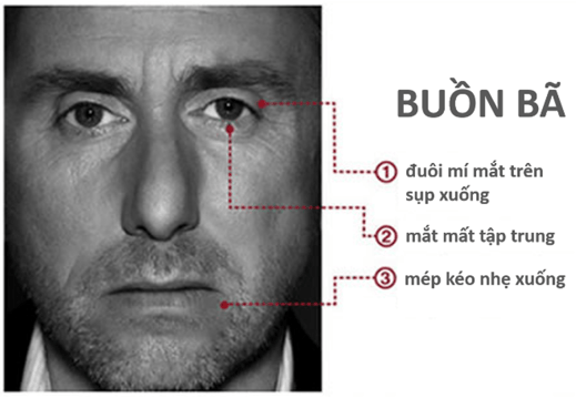Cảm xúc cơ bản - buồn bã Cảm xúc cơ bản - buồn bã