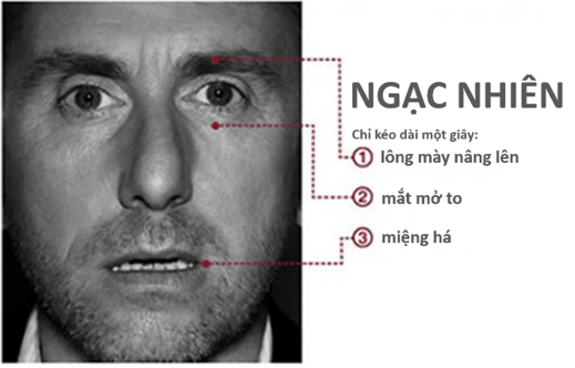 Cảm xúc cơ bản - Ngạc nhiên.png Cảm xúc cơ bản - Ngạc nhiên.png