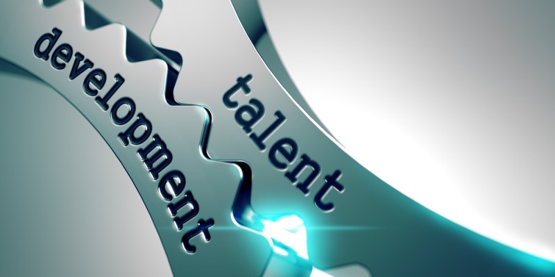 Companies’ Views on Talent Management