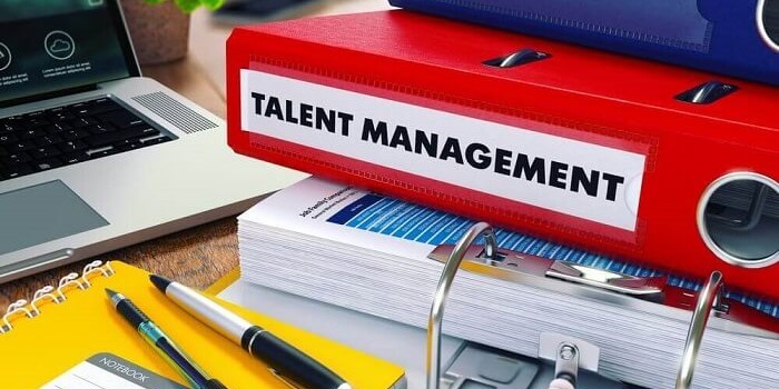 Companiesâ Views on Talent Management