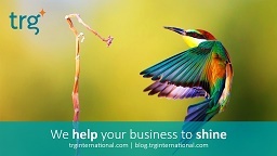 TRG International - Help your business to shine.jpg