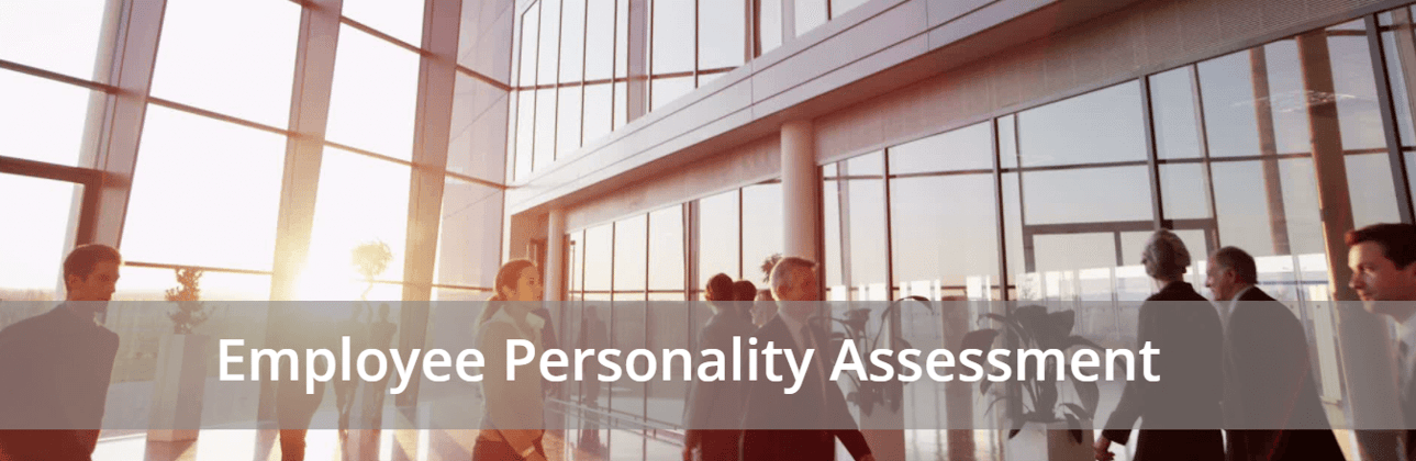 Employee personality assessment