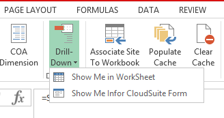 Infor CloudSuite’s Excel Add-in
