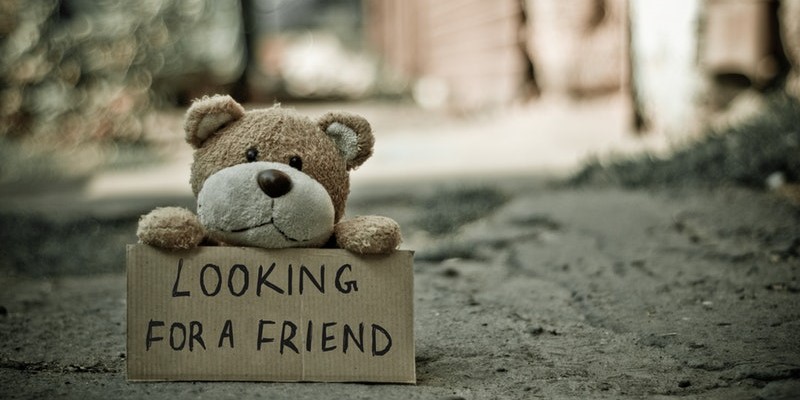 looking-for-a-friend-teddy-bear