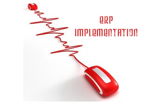 Mindtree-ERP-implementation-case-study-1