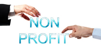 Accounting Software for Nonprofits: a Case Study of Infor SunSystems