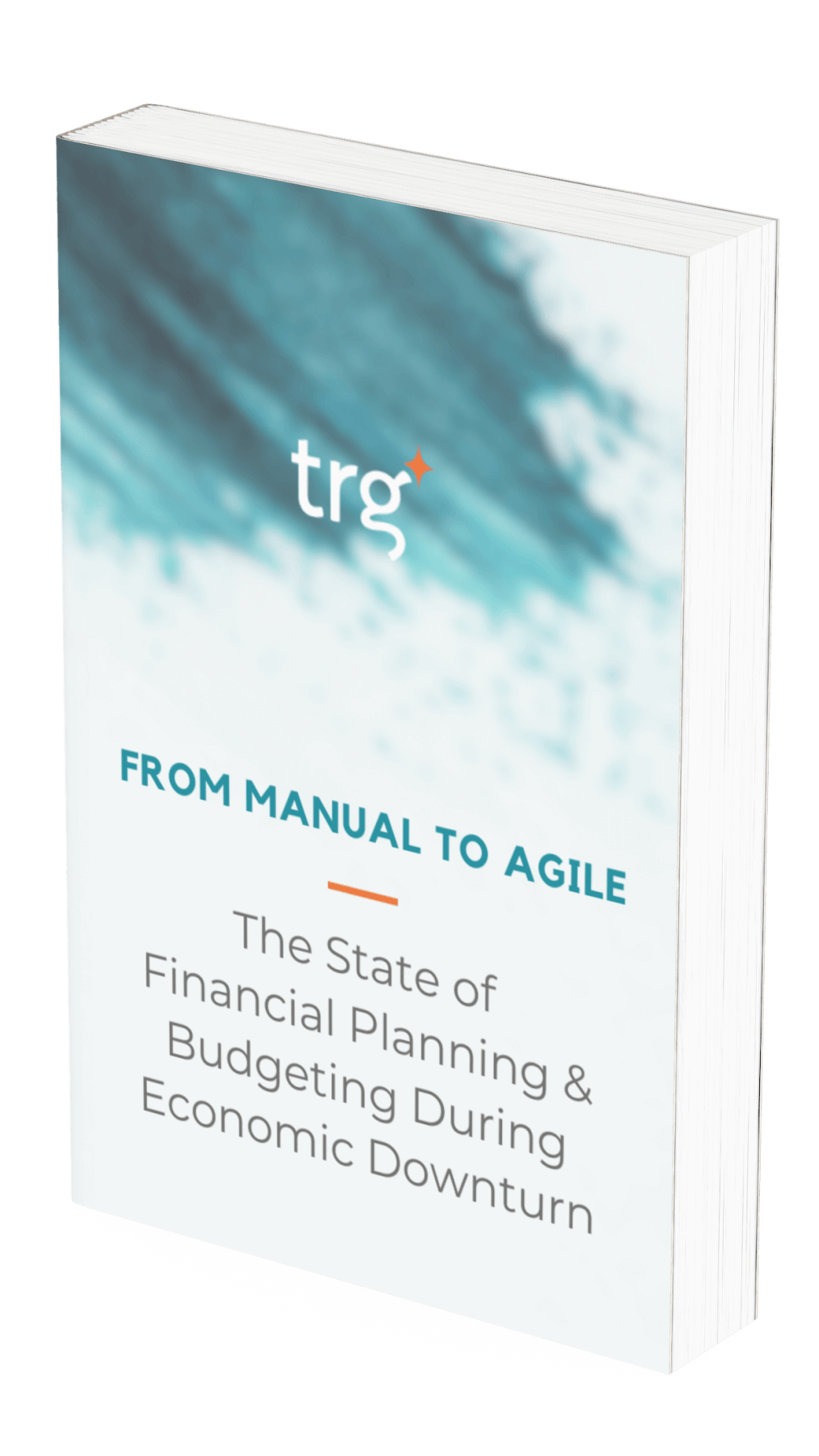 WP_IT_3D-book-cover_The State of Financial Planning & Budgeting During Economic Downturn